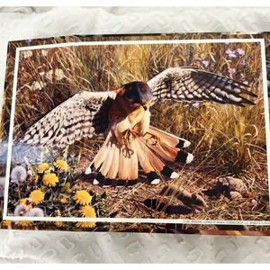 TCG Keepsakes Carl Brenders American Eagle 750 Piece Jigsaw Puzzle Sure-Lox RARE